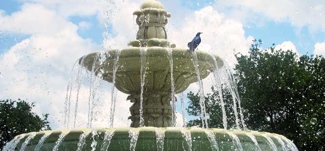 Mal uso y consumo del agua en las ciudades