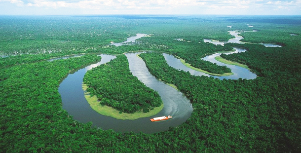 Resultado de imagen de selva amazonia