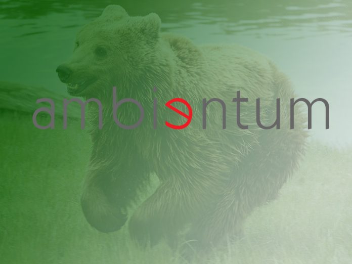 ambientum-importar-343