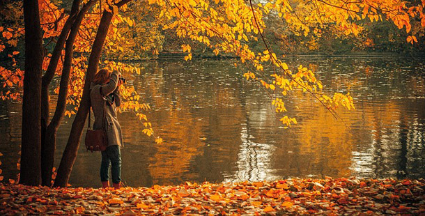 autumn-691263_640-1