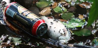 Nuevo respaldo internacional a la lucha contra la basura en la naturaleza