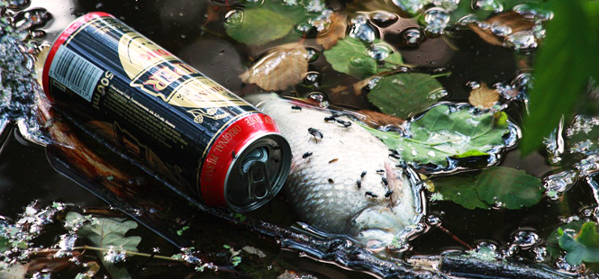 Nuevo respaldo internacional a la lucha contra la basura en la naturaleza