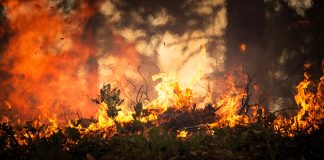 El fuego arrasa California