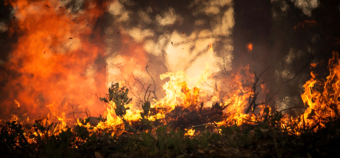 El fuego arrasa California