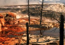 ¿Debería el fomento del terror climático ser considerado un crimen contra la humanidad?