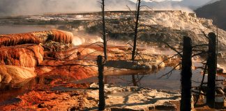 ¿Debería el fomento del terror climático ser considerado un crimen contra la humanidad?