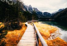 Crear empleo verde y preservar la biodiversidad