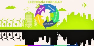 ¿Cuáles son las 5 capacidades para liderar la economía circular?