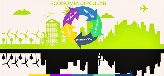 ¿Cuáles son las 5 capacidades para liderar la economía circular?