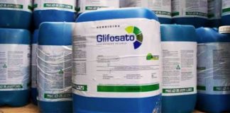 La UE renueva la licencia del glifosato hasta 2022