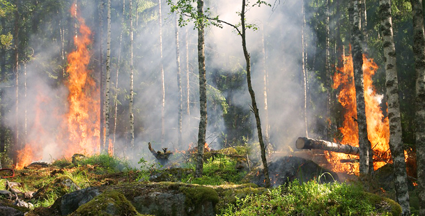 Los incendios del norte de España dañan a 13 espacios de la Red Natura 2000