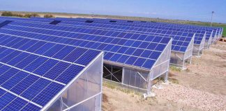 Invernaderos solares en Francia