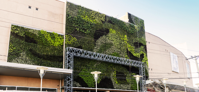 Jardines verticales contra el cambio climático