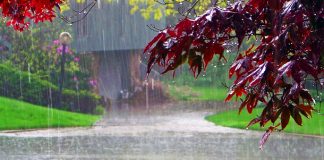 Las lluvias y la nieve dan una tregua a la sequía