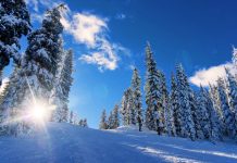 Datos interesantes que quizás no sabías sobre el invierno