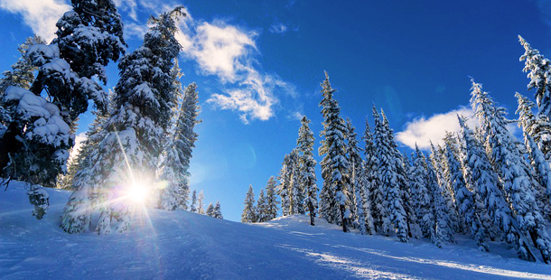 Datos interesantes que quizás no sabías sobre el invierno