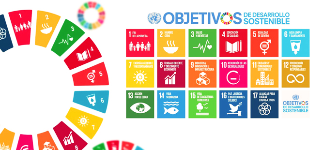 ¿Qué son los Objetivos de Desarrollo Sostenible?