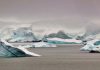 La ampliación de la gran reserva marina del océano Antártico deberá seguir esperando