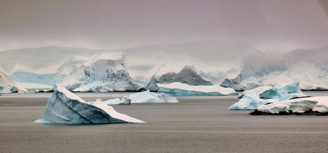 La ampliación de la gran reserva marina del océano Antártico deberá seguir esperando