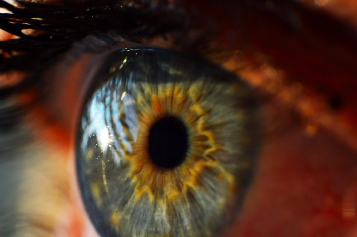 Impresionantes datos que no sabías de tus ojos