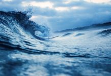 El mar absorbe más carbono del que se pensaba