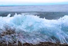 Olas de mar congeladas por las bajas temperaturas en Rusia