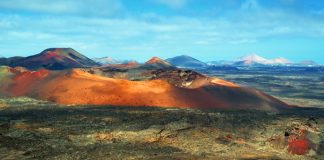 Lanzarote acoge unas jornadas dedicadas a la producción ecológica de vino