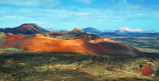 Lanzarote acoge unas jornadas dedicadas a la producción ecológica de vino