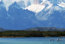 La Patagonia es clave para conservar la biodiversidad y mitigar el cambio climático