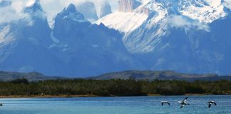 La Patagonia es clave para conservar la biodiversidad y mitigar el cambio climático