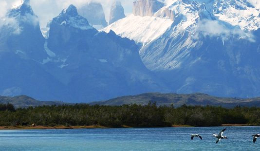 La Patagonia es clave para conservar la biodiversidad y mitigar el cambio climático