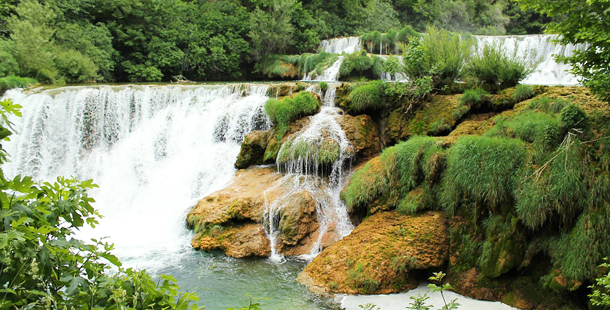 Entornos naturales protegidos