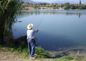 Primera escuela de pesca para fomentar la conservación de los ríos en la  Comunidad de Madrid - Ambientum Portal Lider Medioambiente