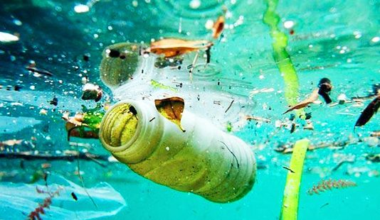 Casi tres de cada cuatro peces del Atlántico presentan microplásticos en sus estómagos
