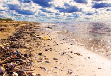 La importancia de cuidar el mar