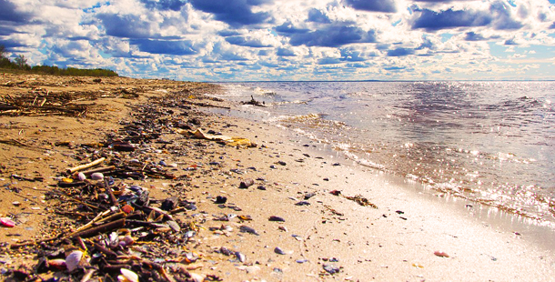 La importancia de cuidar el mar