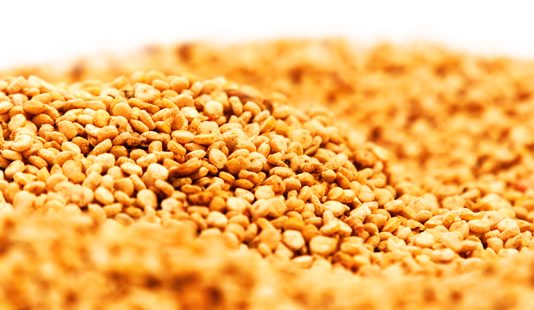 El alimento latinoamericano para combatir el hambre mundial