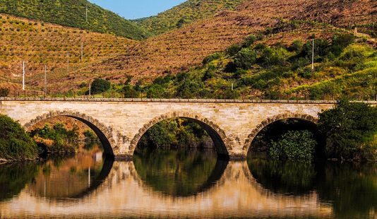 Los ríos están contaminados en gran medida por drogas y fármacos
