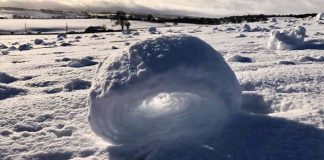 Impresionante fenómeno natural conocido como “Rollos de nieve”