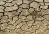 ¿Es posible sacar algún aspecto positivo de la sequía?