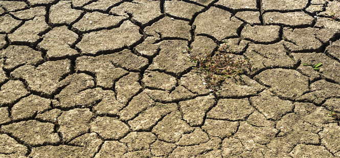 Prevenir la escasez de agua para el futuro