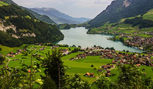 Suiza, verde: Un mercado dinámico