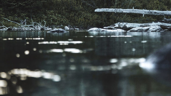 El lago seco de Australia que solo se llena una vez al año