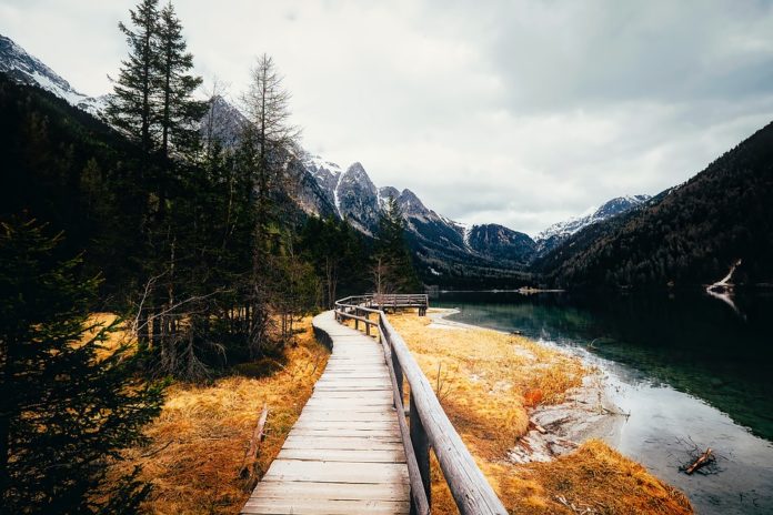 camino-sendero-paisaje-naturaleza