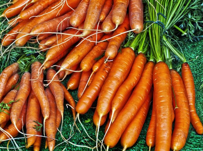 Verduras para mejorar la resistencia del hormigón