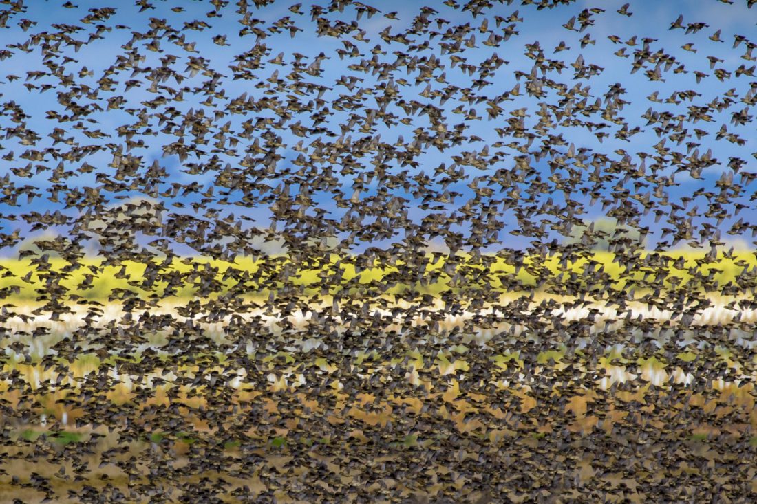 XII Concurso Fotografía Ambiental