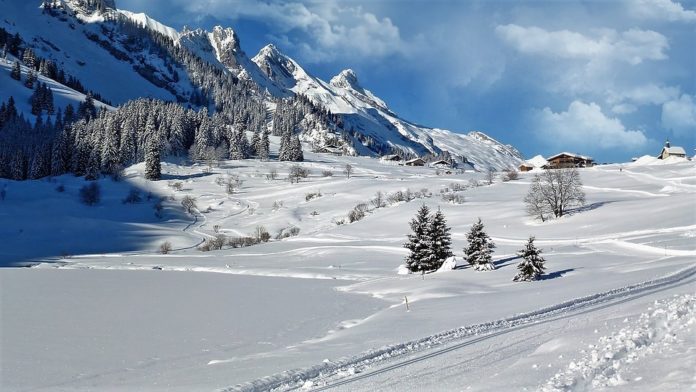 ¿Por qué la nieve es blanca?