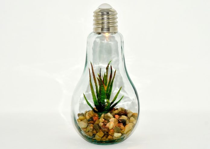 Plantas que generan electricidad