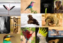 Día Mundial del Medio Ambiente
