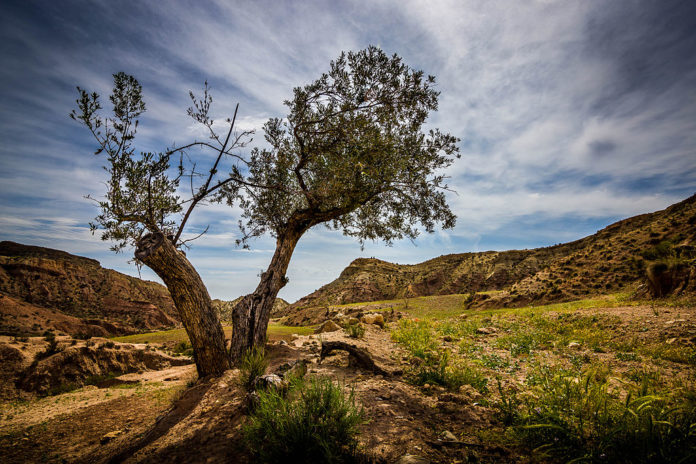 Costes y oportunidades de la crisis climática